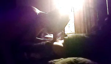 My Neighbor's Son Visits Me for Oral Sex in Secret