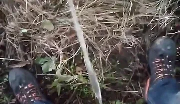 Pissing