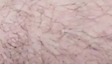 Smoking on the Fist Day 2026