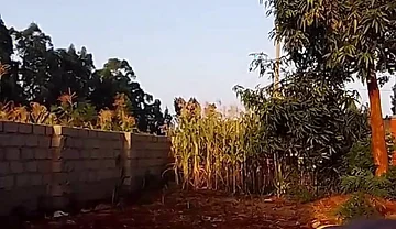 Sexy Desi Twink Stretching Compilation