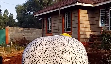 Sexy Desi Twink Workout