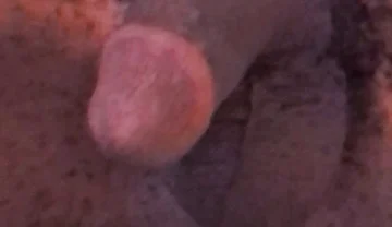 Wanna Get Fucked and Breed??
