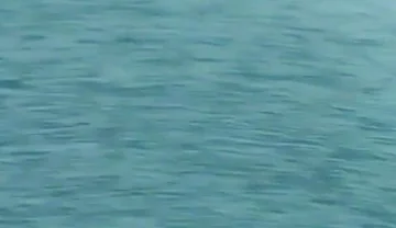 Black Boy Prison Boy Seduce You with His Destroyed Asshole