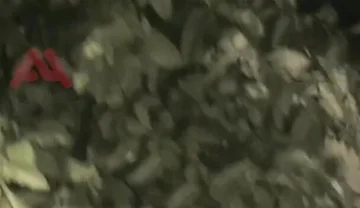 Amateur Boy Sucks a Guy He Found Jerking-off in the Street