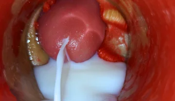 Inside POV Camera Captures an Intense Climax