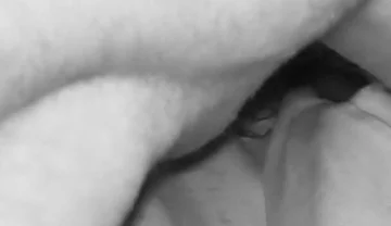 Husband Sucking a TS