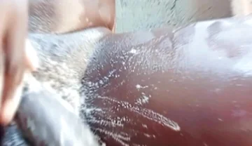 Neighbor Masturbates to Pornstar Queenroyalty and Cumz Hard!