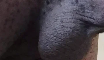 Come See My Hairy Huge Balls