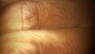 Which Angle You Like More?