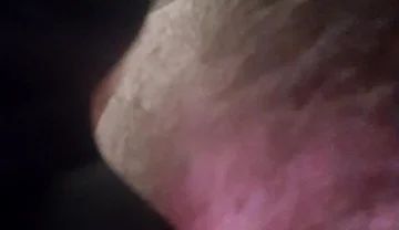 Licking Boots