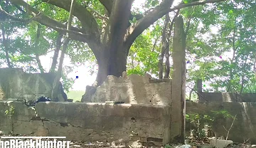 Masturbating in the Park