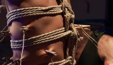 Wilfried Knight - Leo Forte's Dream Comes True