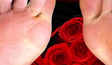 San Valentine's Master Feet Edition