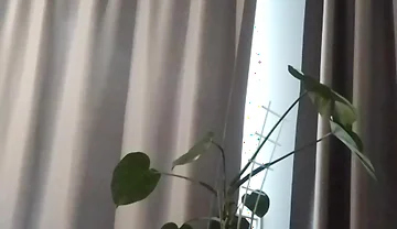 Home Masturbation