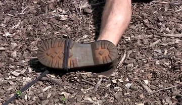 Marshall - Chapter 1