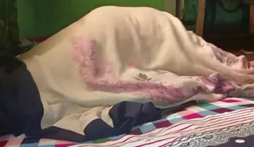 Hard Raw Freaky Fucks