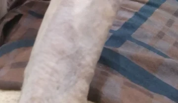 Handsome Boy Masturbation