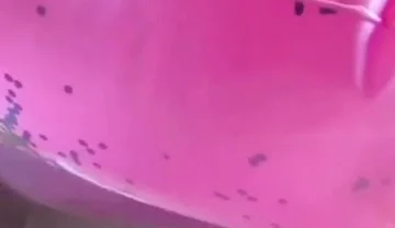 Beautiful inflatable swimrings in my bed