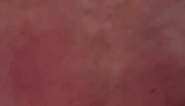 Big Daddy Loves to Breed