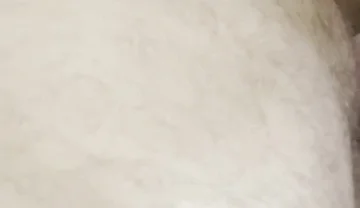 I Fuck This Femboy's Ass and He Enjoys It a Lot