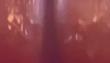 Should I Film with More Fantasy Dildos?