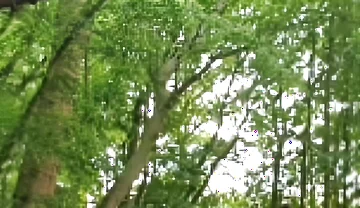 Compilation Outdoor Nudity, Masturbation, Pee & Ass Images