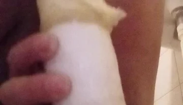 Evening Anal Masturbation