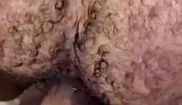 Que Rico Este Culo Peludo Y Tragón