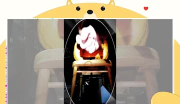 A Fun Pumpkin Fucking Medley!