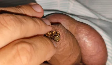 Hammering How Many Screws the Penis Can Hold.