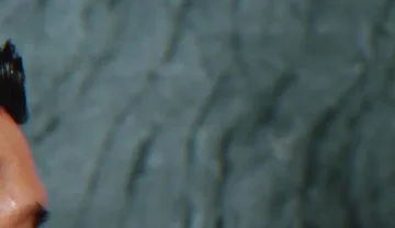 Hung Asian Fuck Thai Bearded Bear