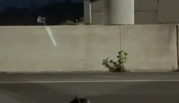 Midnight Street Flex Naked Risk Under the Bridge