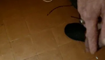 My Dick an My Dancing Balls
