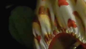 Satin taco thong bulge play jerk & cum