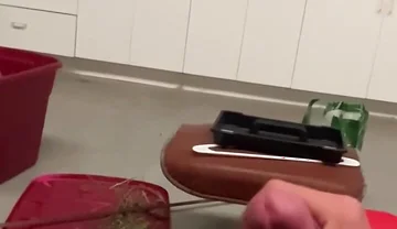 2821668272.mp4