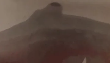 Essa Verticalargument4