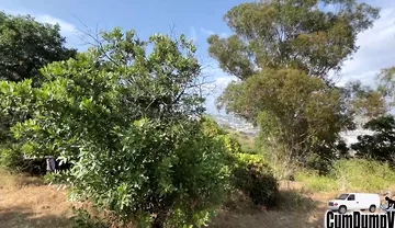 Caught Sucking Big Cock Blow Job Swallow Cum