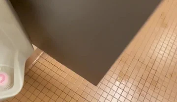 Mall Bathroom Exposed and Cumming