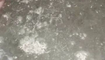 Indian Boy Black Dick Masturbate and Cum