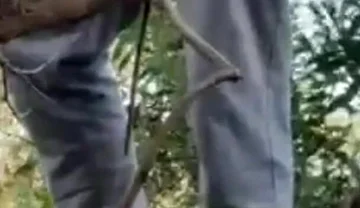 Hot Amateur Boy Sucks and Rims in the Woods