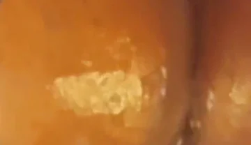 Masturbating My Oiled Ass