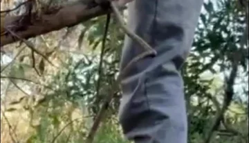 Hot Amateur Boy Sucks and Rims in the Woods