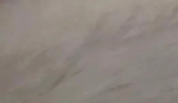 New Cum Video with Vibrating Dildo in My Ass