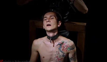 Nicky Pleasure Throne: Multiple Gags, Drooling Ball, Intense Armpit Tickling