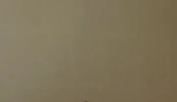 Tim Blesh Wellness Time