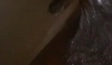 Wow These Balls Are Really Huge I Love Wanking Them