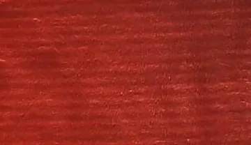 Playing with My Feet and a Dildo