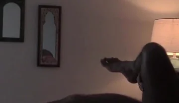 Jason Collins fucks his unicorn!