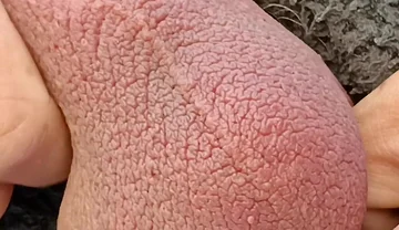 Big Uncut Cock Edging and Cumming, Outdoor Onesie Wank for the Neighbours - Rockardglans