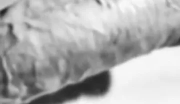 Revealing My Big White Hard Cock